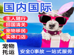 地窝堡航空物流国际宠物托运 【国